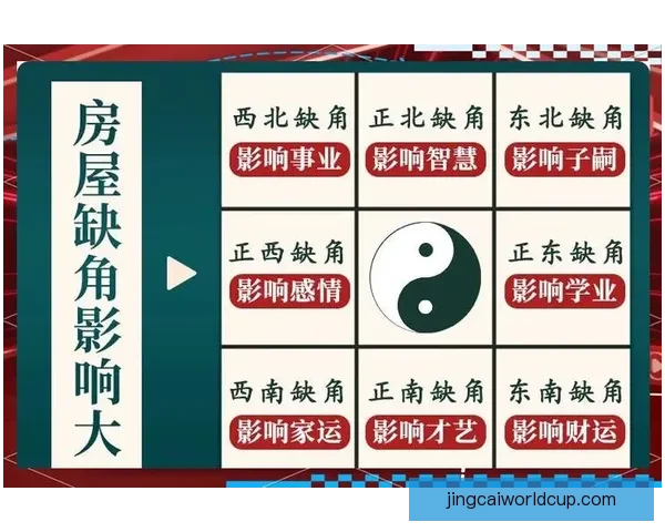 世界杯足球竞猜深度分析球队状态战术走势与赛果预测全方位指南